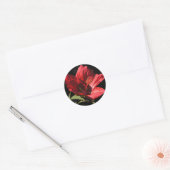 Grote Rode Hibiscus (Hibiscus coccineus) stickers (Envelop)
