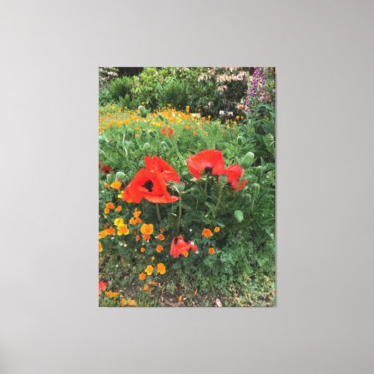 Grote rode klaprozen in een Engelse tuin Canvas Afdruk (Voorkant)
