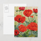 Grote rode papaver briefkaart (Voorkant / Achterkant)