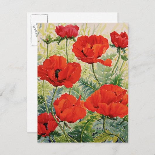 Grote rode papaver briefkaart (Voorkant / Achterkant)
