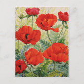 Grote rode papaver briefkaart (Voorkant)