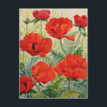 Grote rode papaver briefkaart<br><div class="desc">Grote Rode papavers (waterverf op papier) Ryland Christopher / Private Collectie / Bridgeman Afbeeldingen</div>