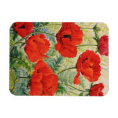 Grote rode papaver magneet (Horizontaal)