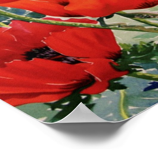 Grote rode papaver poster (Hoek)
