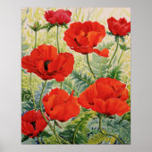 Grote rode papaver poster (Voorkant)