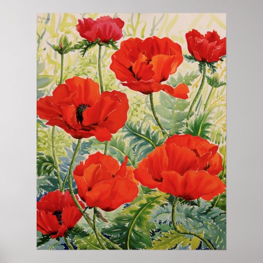 Grote rode papaver poster (Voorkant)