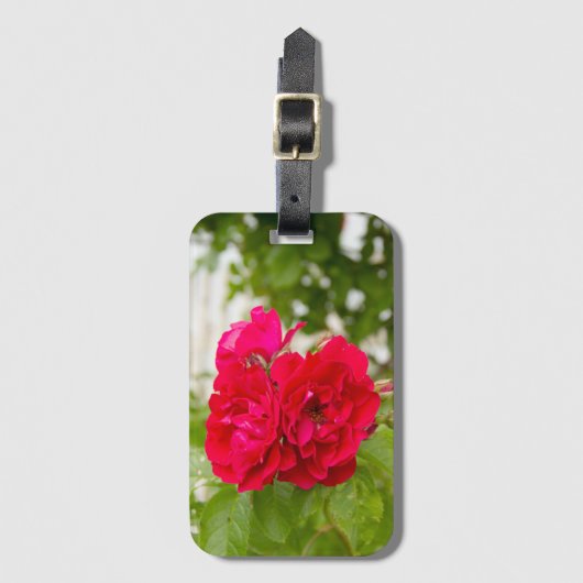 Grote rode rozen in de tuin bagagelabel (Voorkant (verticaal))