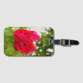 Grote rode rozen in de tuin bagagelabel (Voorkant (horizontaal))