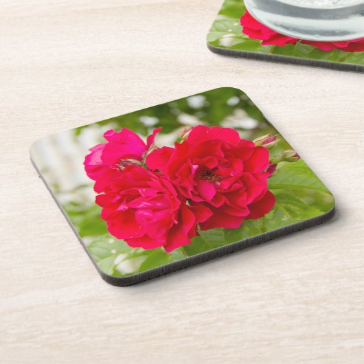 Grote rode rozen in de tuin bier onderzetter (Linkerzijde)