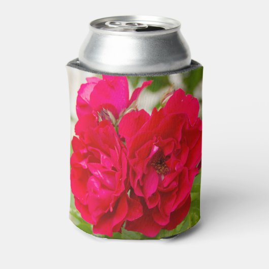 Grote rode rozen in de tuin blikjeskoeler (Blikje Achterkant)