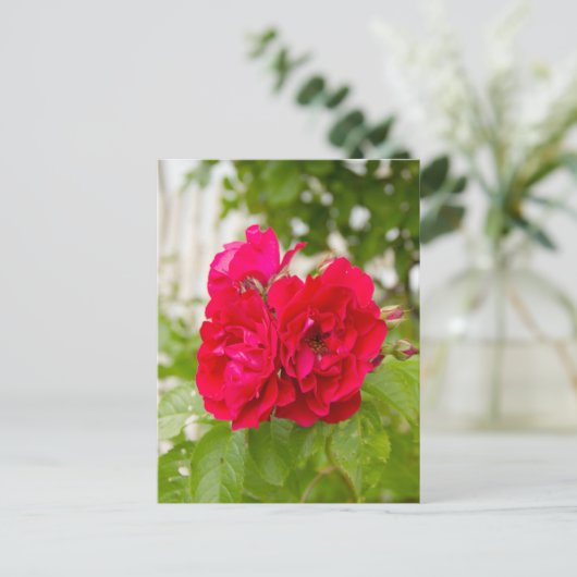 Grote rode rozen in de tuin  briefkaart (Staand voorkant)