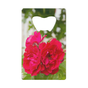 Grote rode rozen in de tuin creditkaart flessenopener