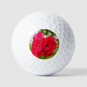 Grote rode rozen in de tuin golfballen