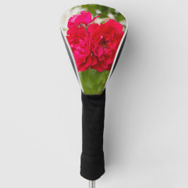 Grote rode rozen in de tuin golfheadcover