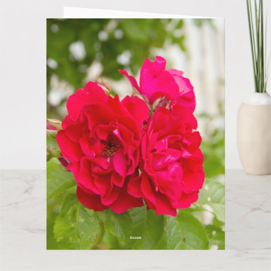 Grote rode rozen in de tuin  kaart (Achterkant)