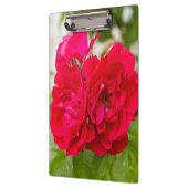 Grote rode rozen in de tuin klembord (Links)