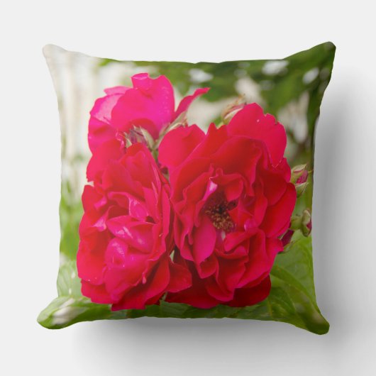 Grote rode rozen in de tuin kussen (Voorkant)