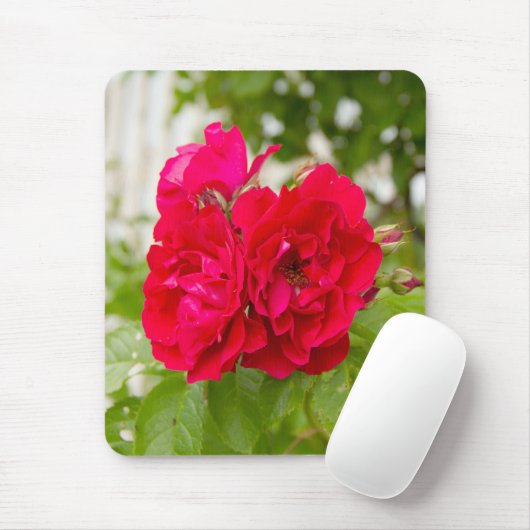 Grote rode rozen in de tuin muismat (Met muis)