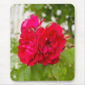 Grote rode rozen in de tuin muismat (Voorkant)