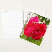 Grote rode rozen in de tuin planner (Display)