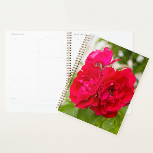 Grote rode rozen in de tuin planner (Display)