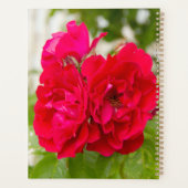Grote rode rozen in de tuin planner (Achterkant)