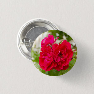 Grote rode rozen in de tuin ronde button 3,2 cm