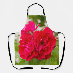 Grote rode rozen in de tuin schort