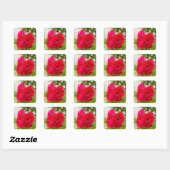 Grote rode rozen in de tuin vierkante sticker (Vel)