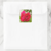 Grote rode rozen in de tuin vierkante sticker (Tas)