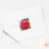 Grote rode rozen in de tuin vierkante sticker (Envelop)
