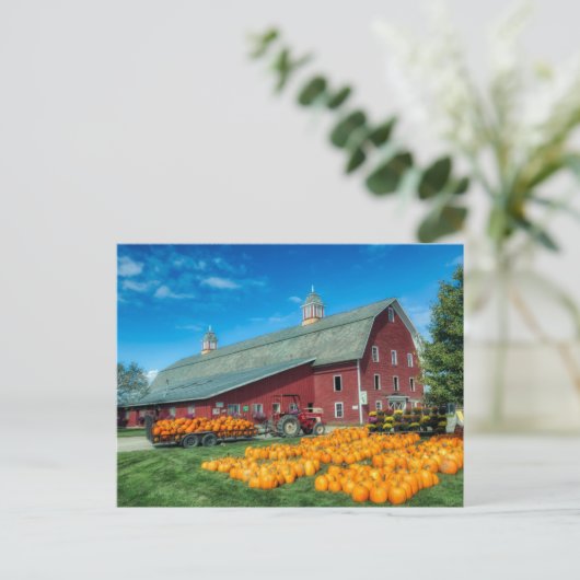 Grote rode Vermont-muur met pompoenen Briefkaart (Staand voorkant)