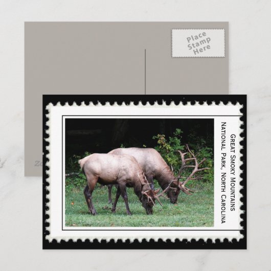 Grote rokergebergte briefkaart (Voorkant / Achterkant)