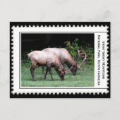 Grote rokergebergte briefkaart (Voorkant)