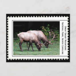 Grote rokergebergte briefkaart