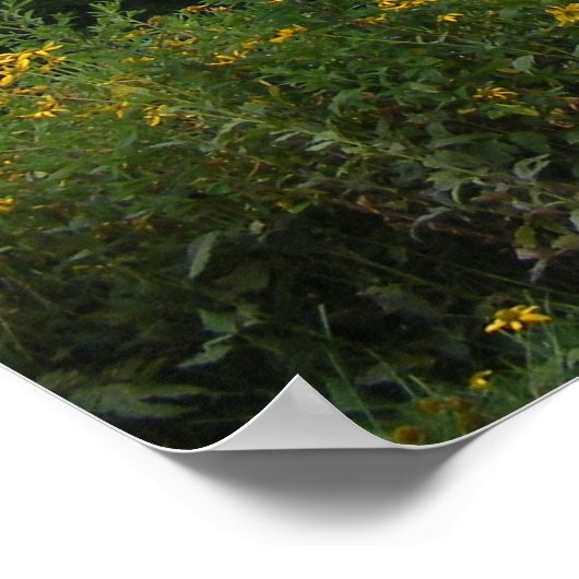 Grote rokergebergte poster (Hoek)