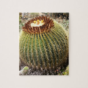 Grote, ronde, geprijsde cactus legpuzzel