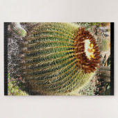 Grote, ronde, geprijsde cactus legpuzzel (Horizontaal)
