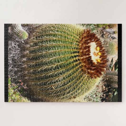 Grote, ronde, geprijsde cactus legpuzzel (Horizontaal)