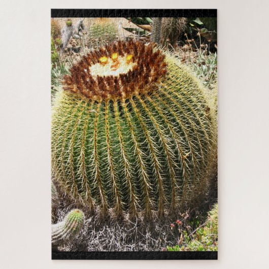 Grote, ronde, geprijsde cactus legpuzzel (Verticaal)