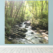 Grote Rookgebergte Bergstroom Canvas Afdruk (Insitu (Houten vloer))