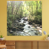 Grote Rookgebergte Bergstroom Canvas Afdruk (Insitu (Woonkamer))