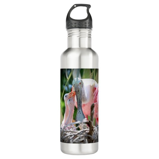 Grote roseate Spoonsbill Babies Water Bottle Waterfles (Voorkant)