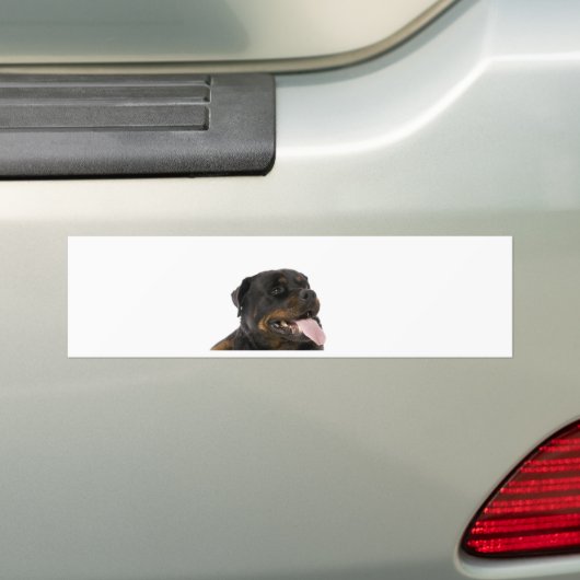 grote rottweiler bumpersticker (Op auto)