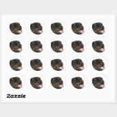 grote rottweiler ronde sticker (Vel)