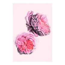 Grote Roze Bloemen Vintage Kunst Poster