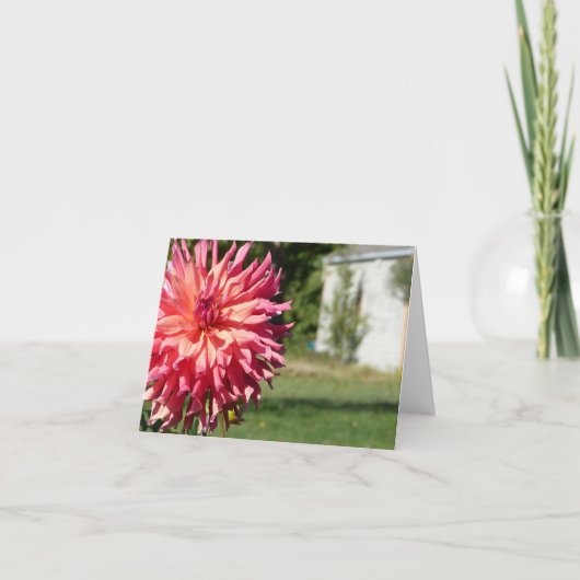"GROTE ROZE DAHLIA" NOTECARD KAART (Voorkant)