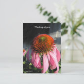 Grote roze Daisy Briefkaart (Staand voorkant)