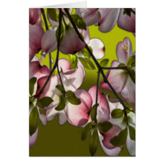 Grote roze droogtrommels - Groen