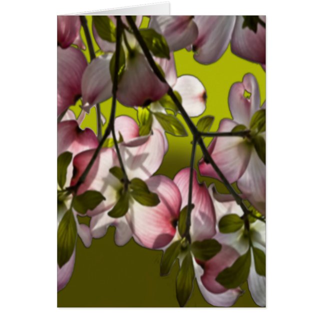 Grote roze droogtrommels - Groen (Voorkant)